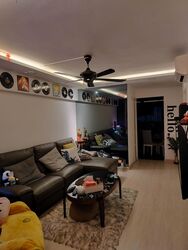 Blk 284 Ficus Vale (Yishun), HDB 3 Rooms #480617471